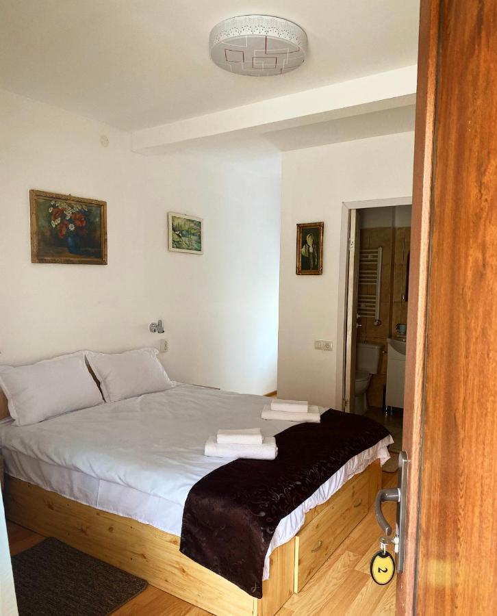 براشوف Ullysses Guest House المظهر الخارجي الصورة