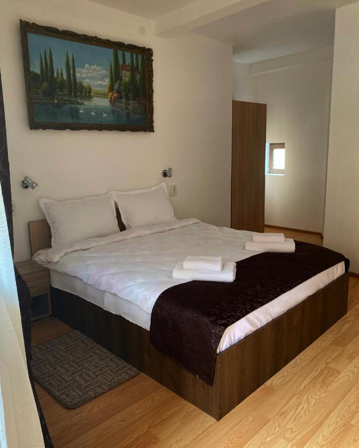 براشوف Ullysses Guest House المظهر الخارجي الصورة